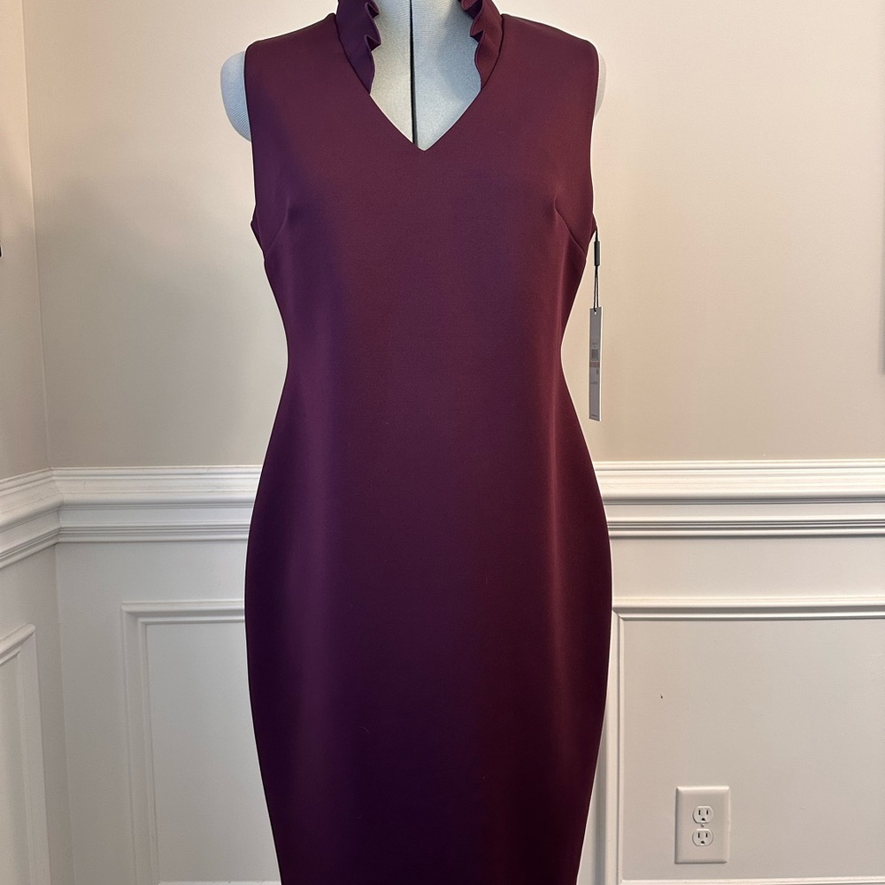 Elegant Plum Sleeveless Dress